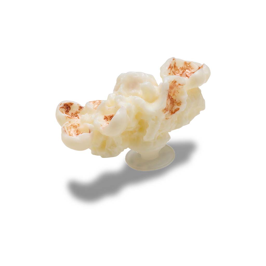 Jibbitz™ Realistic Popcorn 1